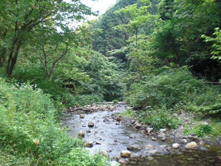 キャンプ場からの景色