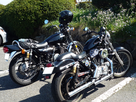 Z1とスポーツスター