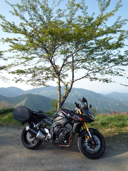 FZ1 at 秩父U
